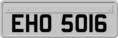 EHO5016