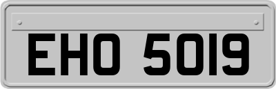 EHO5019