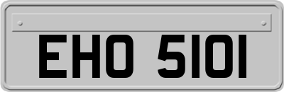 EHO5101