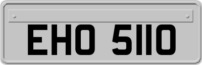 EHO5110