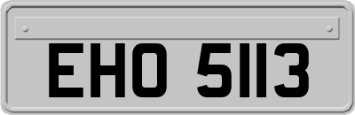 EHO5113