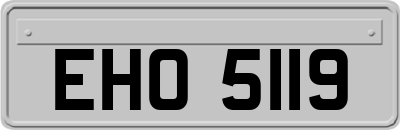 EHO5119