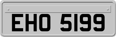 EHO5199