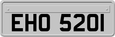 EHO5201