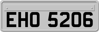 EHO5206