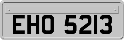 EHO5213