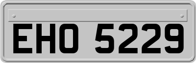 EHO5229