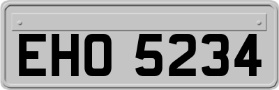 EHO5234