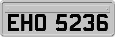 EHO5236
