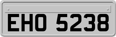 EHO5238