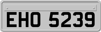 EHO5239