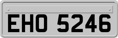 EHO5246