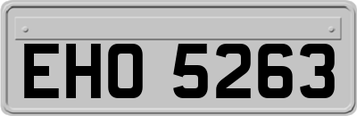 EHO5263