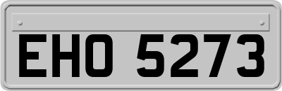 EHO5273