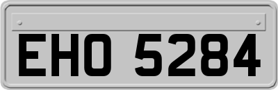 EHO5284