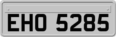 EHO5285