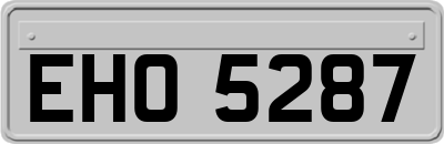 EHO5287