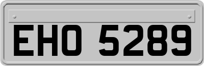 EHO5289
