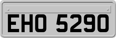 EHO5290