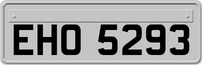 EHO5293