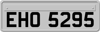 EHO5295