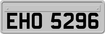 EHO5296