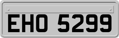 EHO5299