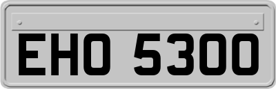 EHO5300