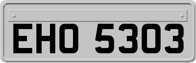 EHO5303