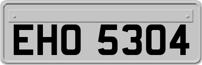 EHO5304