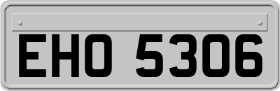 EHO5306