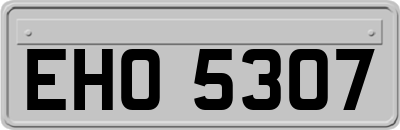 EHO5307