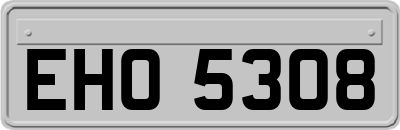 EHO5308