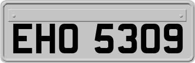 EHO5309