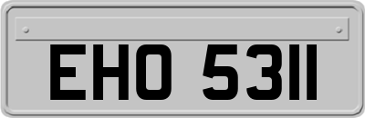 EHO5311