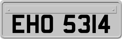 EHO5314