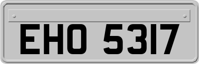 EHO5317