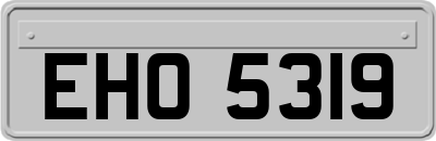 EHO5319