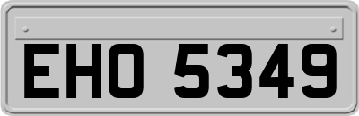 EHO5349