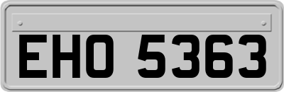 EHO5363