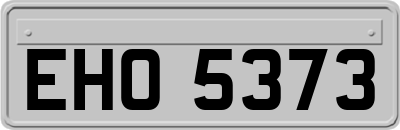 EHO5373