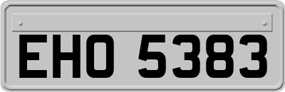 EHO5383