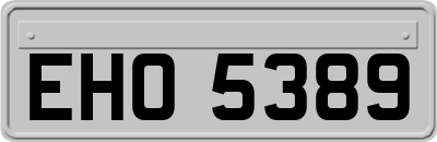 EHO5389