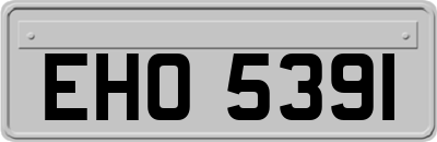 EHO5391