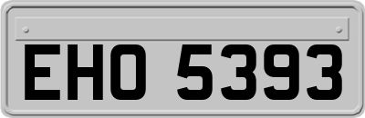 EHO5393