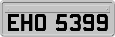 EHO5399