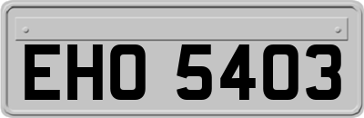 EHO5403