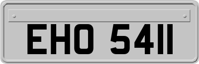 EHO5411