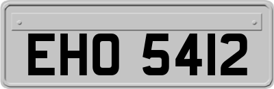 EHO5412