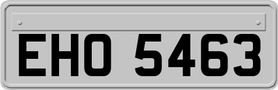 EHO5463